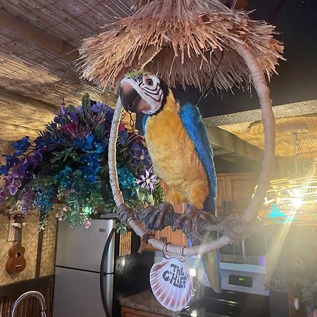 The Kondo Tiki 坦帕 外观 照片